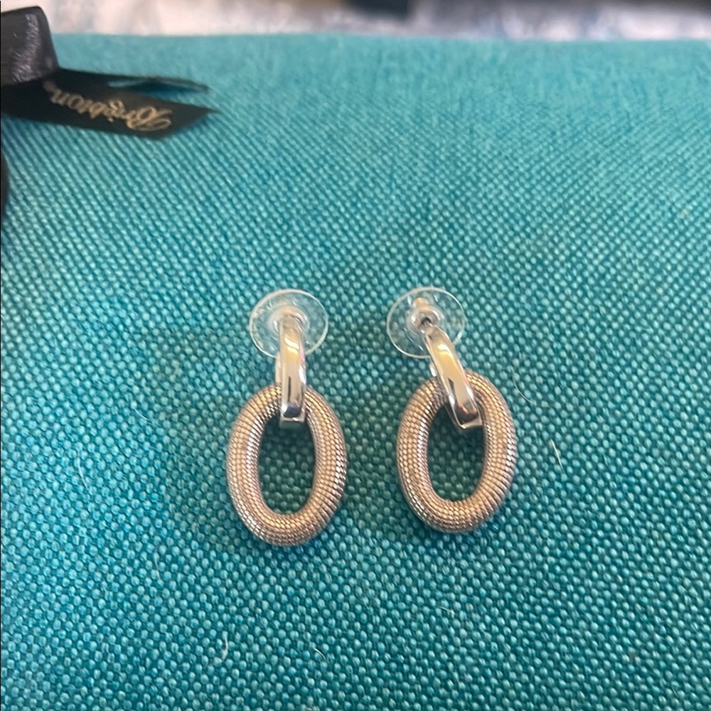 Elegant Silver Hoop Earrings